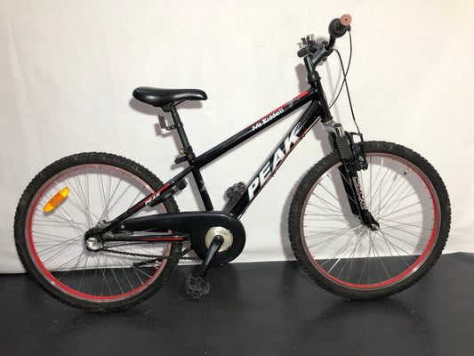 Peak Mt Riddell, 24", 3 växlar, bra begagnat skick