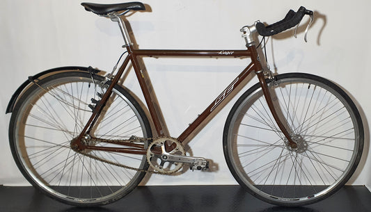 SE Lager, 28", single-speed, bra begagnat skick